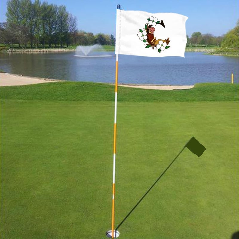 2BUT Pinehurst Golf Club Golf Pin PGA Flag Practic Putting Green Golf Flag For Backyard Garden Double-Sewn 600D Nylon Miniature Pin Flag Regulation Tube Flag(C 20"X13") - Image 4